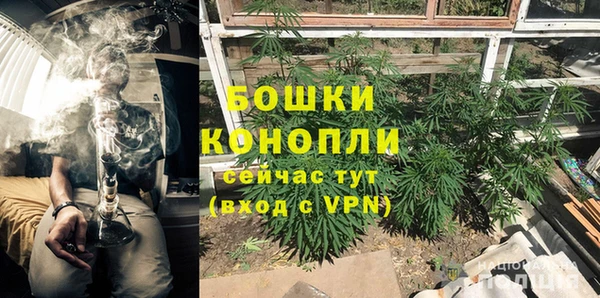 a pvp Аркадак