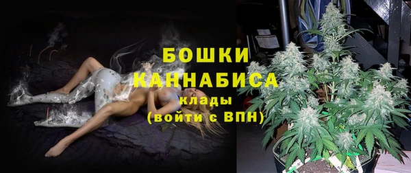 a pvp Аркадак